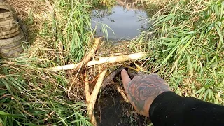 34 Year Old Beaver Dam Removal Made In 1989