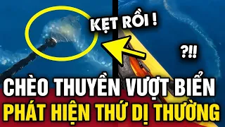 Chèo thuyền VƯỢT ĐẠI DƯƠNG, người đàn ông bắt gặp SINH VẬT DÀI NHẤT thế giới | Tin 3 Phút