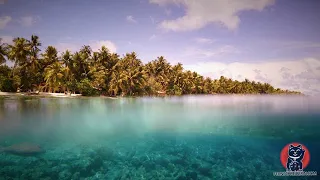 Vilamendhoo, Malediven, Vlog