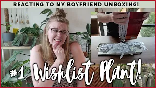 Boyfriend Unboxes My #1 Wishlist Plant | Aroidasia Imported Unboxing & Reaction