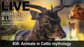 Live Irish Myths episode 30: Animals in Celtic mythology