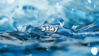 🍃 Chillstep//Sappheiros - Stay // Relax Chillout Calming Deep Focus.