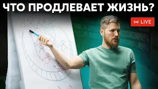 Что продлевает жизнь? Нужно всего лишь...