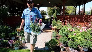 Maintaining Roses & Topiaries |Planting a Flower Bed! 🌿💚// Garden Answer