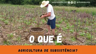 Agricultura de Subsistência ou Autoconsumo