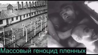 Ад на земле 3 самых страшных «лагеря смерти» в Прибалтике