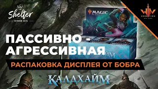 Дисплей бустеров Калдхайм распаковка Magic: The Gathering WinCondition Kaldheim