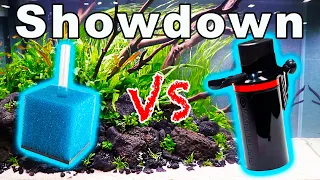 Sponge Filter vs Internal Canister Filter: Fish Tank Filter Showdown!