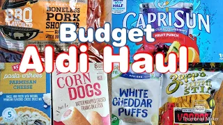 Aldi Grocery Haul On A Budget! With Prices!