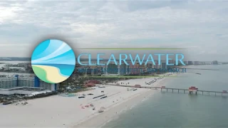 Clearwater Beach Red Tide Watch & Cleanup 9-12-2018