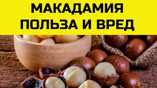 Орех МАКАДАМИЯ. Польза и вред австралийского ореха для организма.