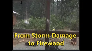 From Storm Damage to Firewood