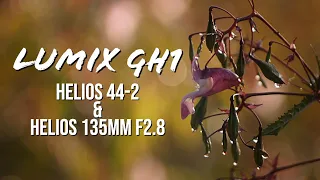 Lumix GH1 | HELIOS 44-2 & HELIOS (Japanese lens) 135mm F2.8