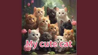 My Cute Cat