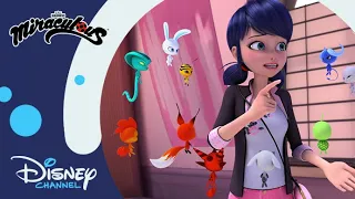 🥺 Kwami boci szemek bevetése | Miraculous | Disney Csatorna