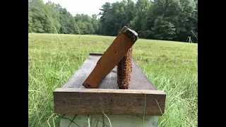 Watch this BEFORE you try Foundationless Beekeeping!