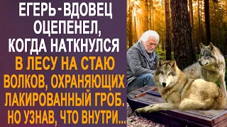 Егерь-вдовец оцепенел, когда наткнулся в лесу на стаю волков. Но узнав, что волки охраняют...