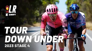 Heavy Crosswinds Split Peloton | Tour Down Under Stage 4 2023 | Lanterne Rouge x Zwift