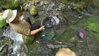 GOLD!!! GOLD!!! GOLD...and MORE, MASSACHUSETTS GOLD " IT'S HERE " gold panning adventure...