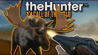 ALBINO Plains Bison & MOCHA Moose!! | TheHunter: Call of the Wild