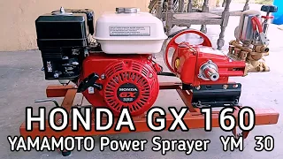 Menggunakan Engine Honda GX160 dengan Power Sprayer YAMAMOTO YM 30 untuk semprot tanaman Jeruk