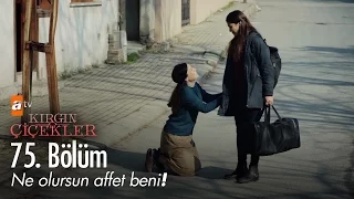 Ne olursun affet beni! - Kırgın Çiçekler 75. Bölüm - atv