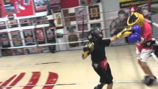 Soldier sparing.  Dec 18th 2015. 9 yrs old 55 pds