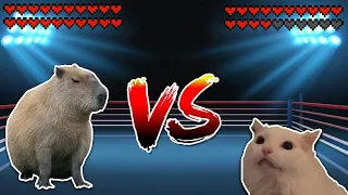 Capybara vs Meow Cat! Meme battle