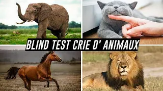 BLIND TEST : Crie d'animaux