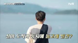 고흥 바다에는 돌고래가 있다?! 빌런 3인방 & 이지아의 막간 드라이브! | tvN 211005 방송