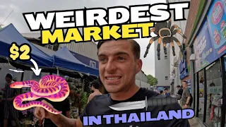 WEIRDEST Market in Thailand!! (I got kicked out)