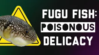 Fugu Fish - Poisonous Delicacy