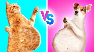 Cat VS Dog Pregnant || Smart Hacks And Incredible DIY Gadgets For Pet Owners by Bla Bla Jam!