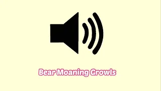 Bear Moaning Growls Sound Effect