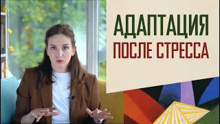 Адаптация: как прийти в себя после стресса и потрясений