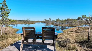 Join me for a relaxing walk - Exploring the Ancient Beauty of Great Kemeri Bog Boardwalk #travel