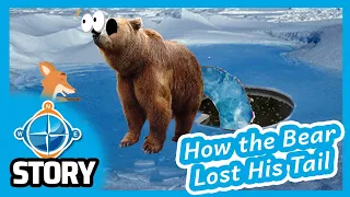 🐻 How The Bear Lost His Tail 😭  | Kids Story Video | CC #24