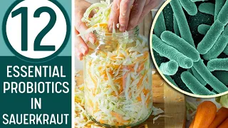 12 PROBIOTICS IN SAUERKRAUT - Does Your Kraut Have Them?