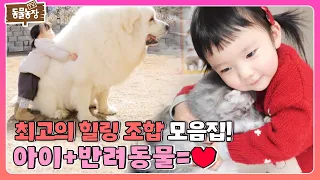 쏟아지는 귀여움에 편집자 기절...♥ ‘아이X반려동물’ 모음집 I TV동물농장 (Animal Farm) | SBS Story