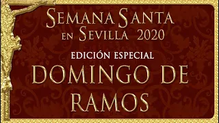 DOMINGO DE RAMOS , SEMANA SANTA SEVILLA 2020 "Lo que pudo ser" - DIRECTO edición especial