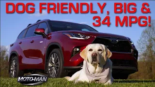 Dog Friendly, Big & 34 MPG: The 2020 Toyota Highlander Hybrid