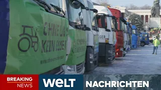 DEUTSCHLAND: Widerstand gegen Ampel geht weiter! Bauern protestieren bundesweit | WELT STREAM