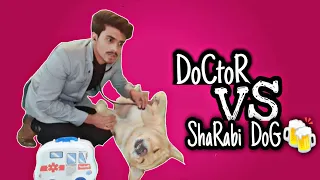 Doctor vs Sharabi Dog🍻 | comedy video😂 | talking dog🐶 | anant rastogi