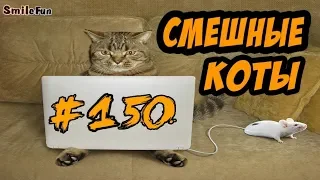 Приколы с котами Смешные коты и кошки 2018 Озвучка животных от SmileFun