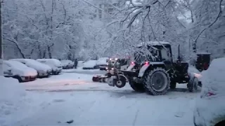 JANUARY 31, 2018. A MONTH UNTIL SPRING. BEAUTIFUL SNOW COLLAPSE IN MOSCOW. ROOKS DID NOT FLY AWAY