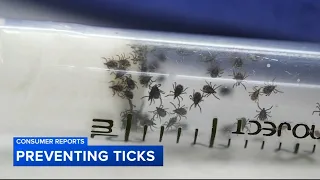 Tips to help prevent ticks