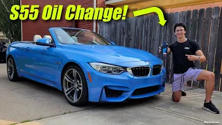 Oil Change on BMW S55 F8X M3/M4 | FULL DIY | F83 M4 Build pt.5