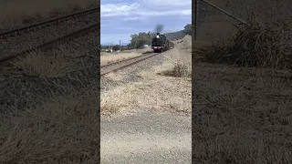 3526 Steam train Transport Heritage NSW New England tour Tamworth to Kootingal shuttles