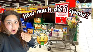 GROCERY SHOPPiNG ON A BUDGET FOR LARGE FAMiLY | ALDI GROCERY HAUL | Our DysFUNxional Family