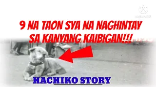 9 na taon sya nag hintay sa kanyang kaibigan/HACHIKO STORY..